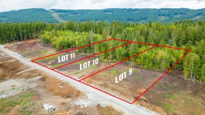 LOT 9 12631 BELL ST, Mission Home for sale, MLS® R2821893